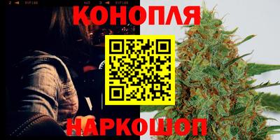 эйфоретик Аргун