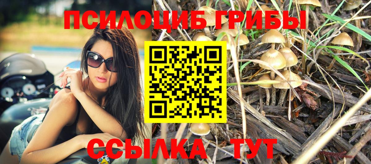 Галлюциногенные грибы ЛСД Берёзовский
